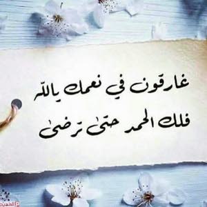  ابو محمد الخليلي