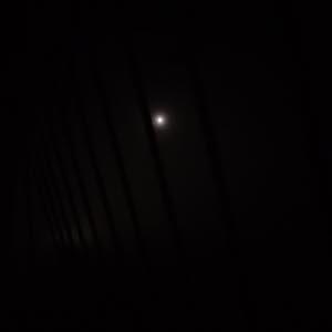 توفيق قطينه