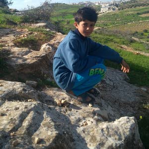  eyad harp