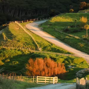 fayez sahore
