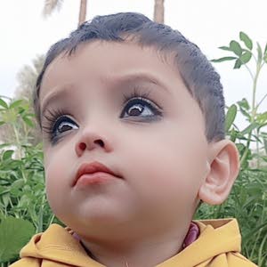  Ammar Qasim