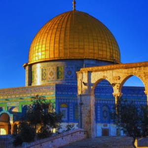 ابو زيد ذويب