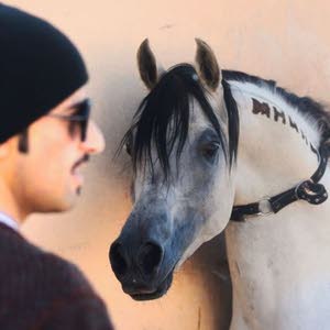  عامر السردي