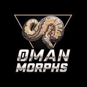  Oman Morphs