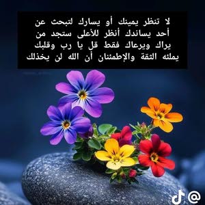  نسيت الماضي
