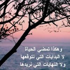 محمود ابو يحيى