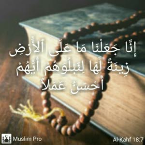 ابو يزيد