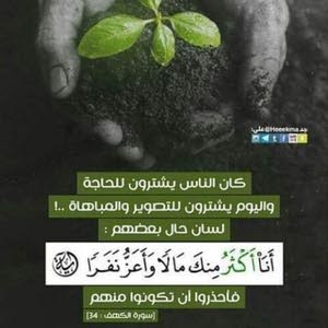  معتز ابو بكر