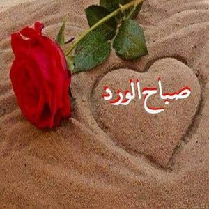 محمد