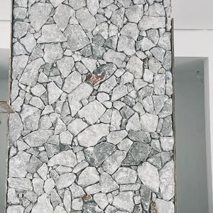 طاهر صابر ديرية