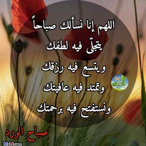 nahed hesham