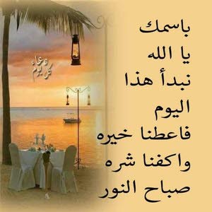  Omar Flafel Flafel