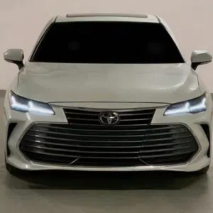 Avatar