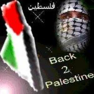  Tamer Abu Al Rub