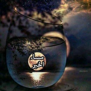 Abed Alqaise