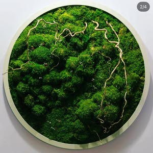 Younis ABDULKARIM Hady