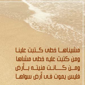 الديوانية الدولية