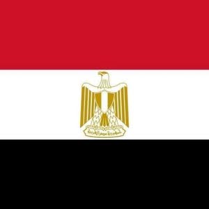  مكتب تأسيس شركات وتراخيص المصانع في مصر