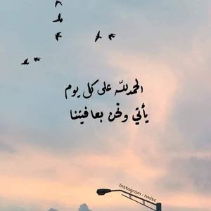  ali alkahwalah
