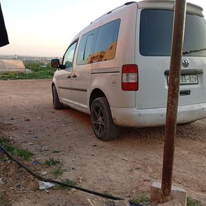  رياض عمرو