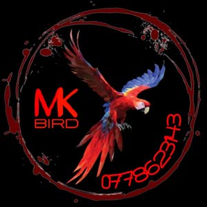  MK Bird