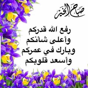 mohamadhj