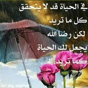 Nadia Alabed