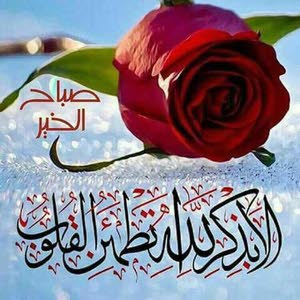  معتز العثامنه