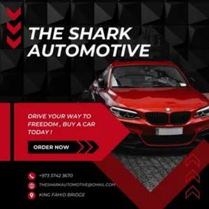  The Shark Automotive