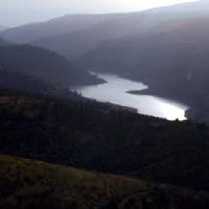  mohanad