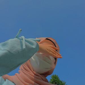  ام سند