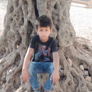 تامر الجمل