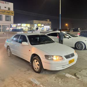  بدور المقبالي