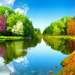 AAA
