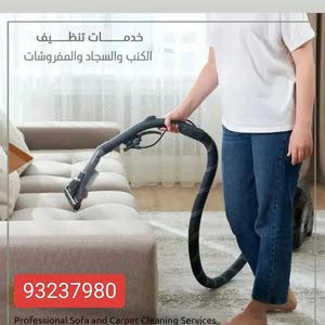  CleanEx Sofa and Carpet