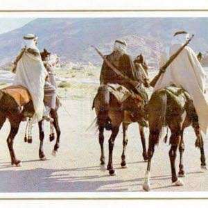  Sultan Soub