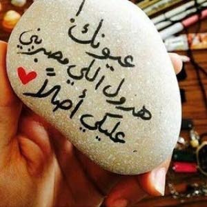  احمد ابو محمد