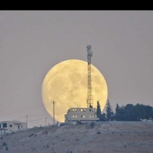  ام يزن الدومي