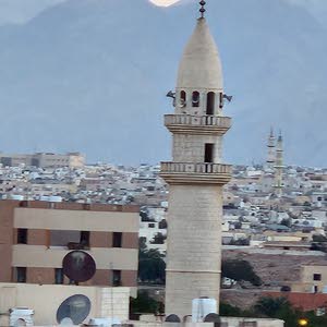  عماد الدين مهيوب