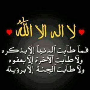  هاني السقار