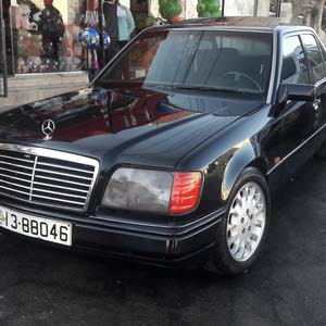معاذ أبو ريان أبو ريان