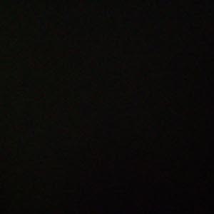 مؤمن الصديق موسى