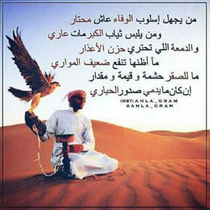  وليد وليد