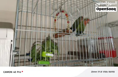 undefined 4