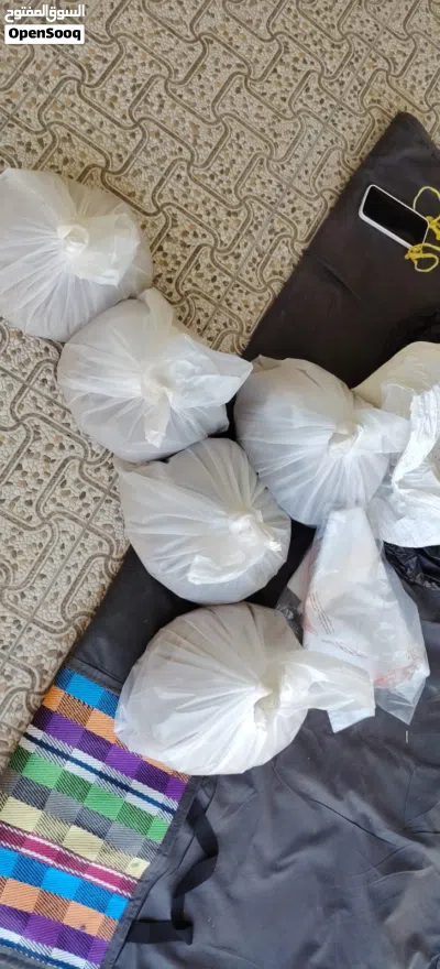 متوفر بذر قت عماني 4
