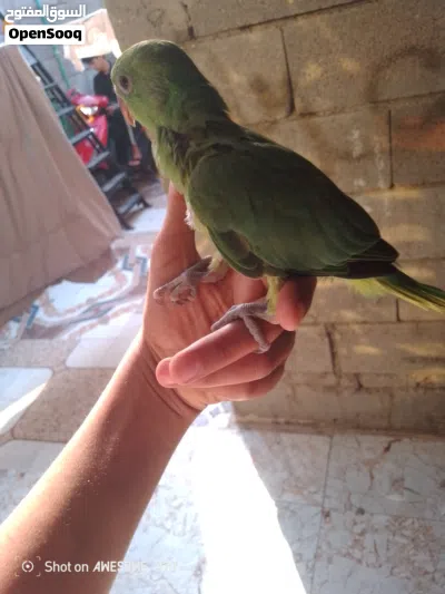 undefined 4