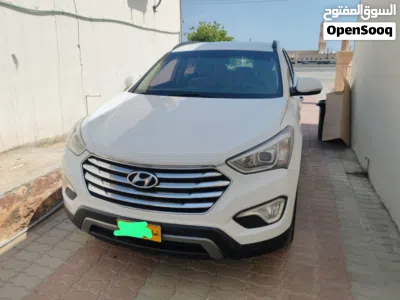Hyundai Santa Fe Standard 2