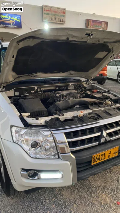 Mitsubishi Pajero Standard 3