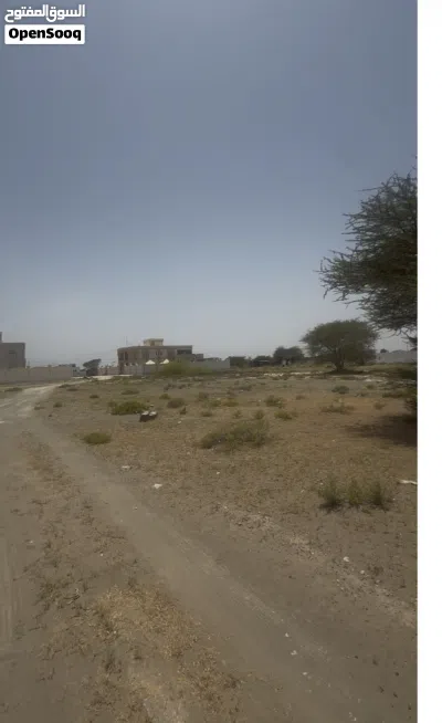 أرض شبك للبيع شارع جماء 2