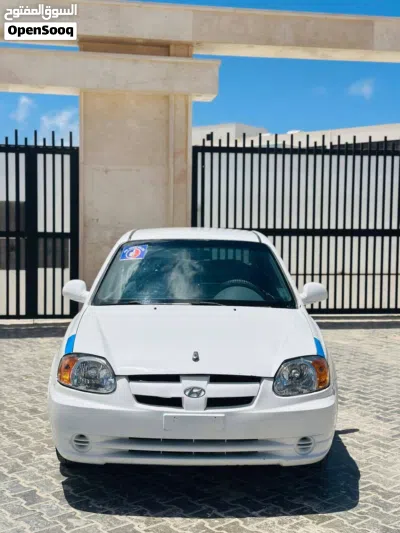 Hyundai Verna EX 2